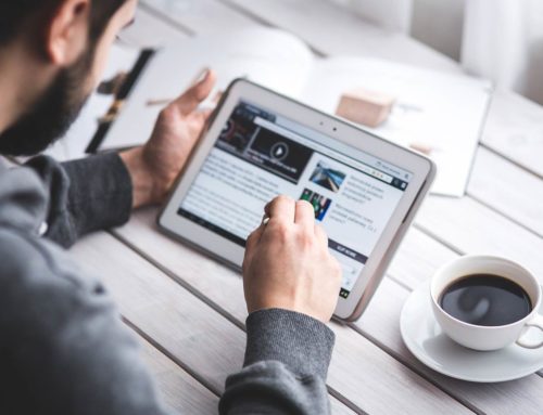 SEO Consultant